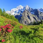 Dolonne - Happy Daire Courmayeur