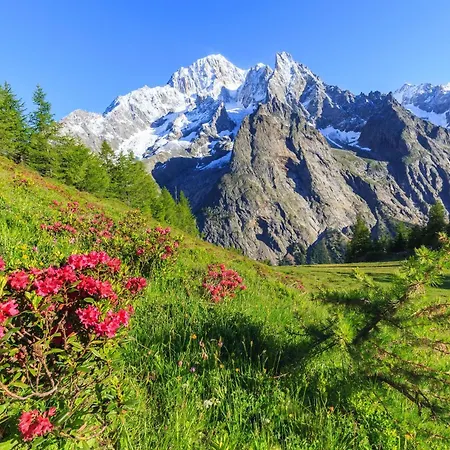 Dolonne - Happy Apartment Courmayeur